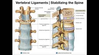 Part 2  Non Surgical Treatments for Lumbar Spinal Stenosis [upl. by Pironi]