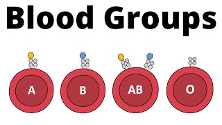 ABO Blood Group System AB0 Blood types amp compatibility explained [upl. by Morgen383]