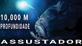 O Que EXISTE NO FUNDO DO MAR E ASSUSTADOR [upl. by Adnirod]