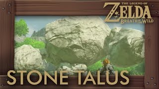 Zelda Breath of the Wild  All Stone Talus Locations [upl. by Nived593]