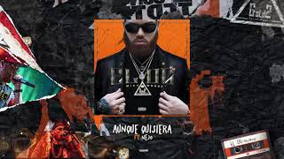 Miky Woodz Ñejo  Aunque Quisiera  El OG Audio Oficial [upl. by Nuahsak]