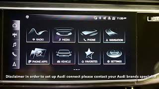 How to Connect to Audi Connect audiconnect [upl. by Navonoj]