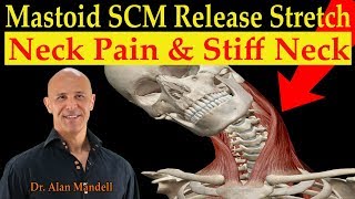 Mastoid SCM Release Stretch for Neck Pain amp Stiff Neck  Dr Alan Mandell DC [upl. by Milton]