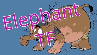 Elephant Transformation  Elephant TFTG [upl. by Ltsyrk371]