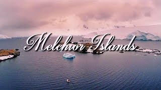 Melchior Islands – The Venice of Antarctica [upl. by Sacken594]