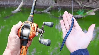 Catch 15x MORE Bass  TRY THIS Bass Fishing Tips [upl. by Alika]