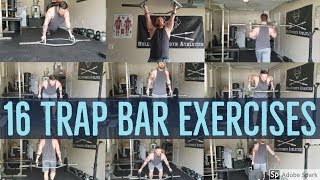 16 Trap Bar Exercises And What Theyre Used For [upl. by Eillor]