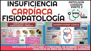 Cardiopatías congénitas [upl. by Kawasaki]