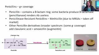 Chapter 20 Antimicrobial Drugs [upl. by Madaras]