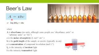 Spectrophotometric Enzyme Assays [upl. by Aynotal685]