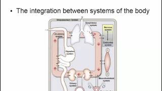 Physiology Intro Chapter 1 [upl. by Va]