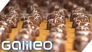 Herstellung der MiniPraline  Galileo  ProSieben [upl. by Neerehs447]