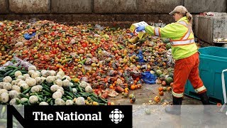 Canadians get creative in solving food waste problem [upl. by Joann]