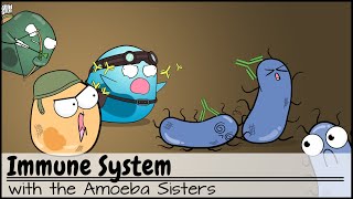 Immune System [upl. by Vernice]