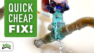 How To Fix A Main Water Shutoff Valve Leak [upl. by Crescint]