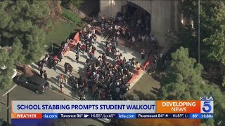 School stabbing prompts school walkout [upl. by Klayman989]