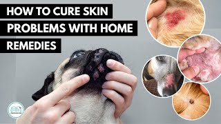 How To treat 5 Skin infection in dogs 🐕 with home remedies [upl. by Hobard]