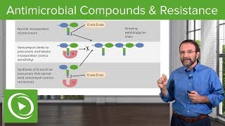 Antimicrobial Compounds amp Resistance – Microbiology  Lecturio [upl. by Fedora288]