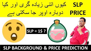 SLP Coin  SLP Price Prediction amp Background [upl. by Venetis]