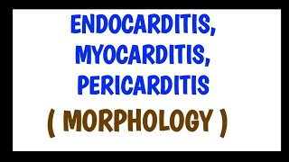 Endocarditis Myocarditis and Pericarditis  Morphology [upl. by Austin506]