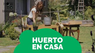 Tutorial para hacer tu propio HUERTO EN CASA  HUERTO URBANO [upl. by Clova]