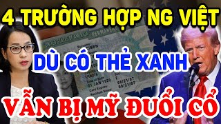 Người Việt Ở Mỹ DÙ CÓ THẺ XANH Vẫn BỊ TRỤC XUẤT Nếu Thuộc 4 Trường Hợp Này   Triết Lý Tinh Hoa [upl. by Jemmie88]