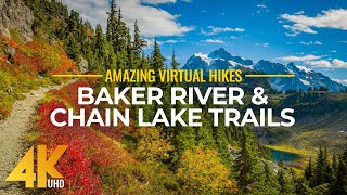 4K Virtual Hike Near River through the Forest  Baker River Trail amp Chain Lake Trail [upl. by Agarhs]