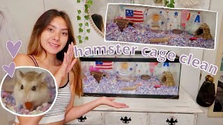 HAMSTER CAGE CLEAN OUT Roborovski Hamster [upl. by Aniroc]