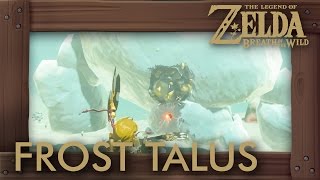 Zelda Breath of the Wild  All Frost Talus Locations [upl. by Octavie329]