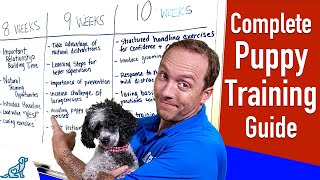 Your Complete Puppy Training Schedule By Age [upl. by Tlihcox]