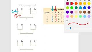 Find the most parsimonious tree [upl. by Yebba]