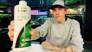 Seachem Flourish Excel Review Algae Control [upl. by Rolo67]