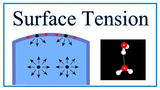 Surface Tension of Water Explained [upl. by Aihtenak]