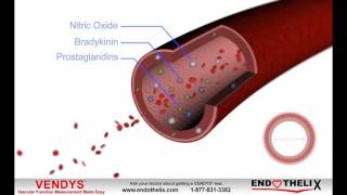 What is Endothelial Dysfunction [upl. by Richmond]