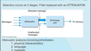 Theories of Attention [upl. by Anoirtac]