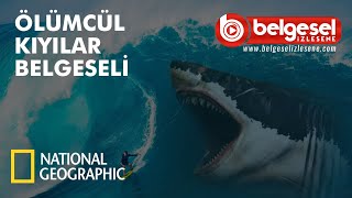 Ölümcül Kıyılar Türkçe Dublaj Belgeseli  Türkçe Dublaj [upl. by Ennoval]