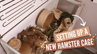 Setting Up A New Hamster Enclosure [upl. by Airebma]