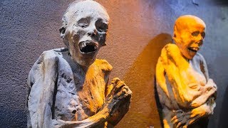 The Mummies of Guanajuato Inside the Museum Cemetery and More [upl. by Peregrine]