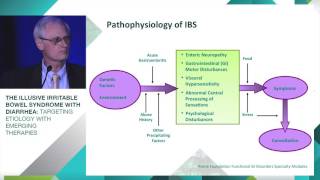 IBSD Pathophysiology and Treatment [upl. by Susan]