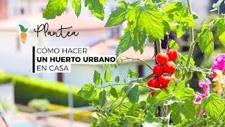 🪴 Cómo Hacer un Huerto Urbano en Casa Paso a Paso [upl. by Stanwinn446]