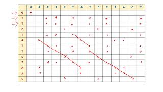 Introduction to Bioinformatics  Dot plot for comparing two sequences [upl. by Katzman878]