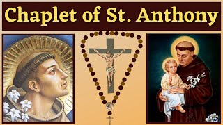 Chaplet of St Anthony of Padua For 13 Petitions amp Favors [upl. by Yentruoc]