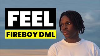 Fireboy DML  Feel Lyrics [upl. by Alair911]