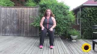 Seated Exercise Head To Toe Gentle Workout [upl. by Sillaw455]