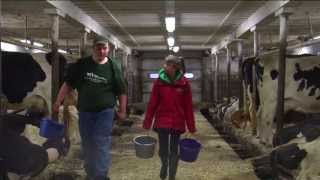 Part 1 Life Of A Dairy Farmer [upl. by Okomom]