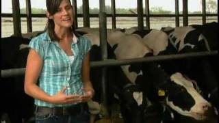 Meet a Michigan Dairy Farmer [upl. by Orabelle]