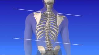 Retrolisthesis Back Pain 5 Best Exercises Treatment to STOP Pain [upl. by Farny465]