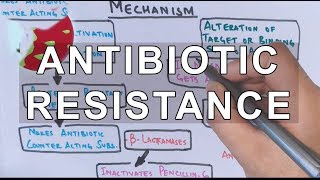 Antibiotic Resistance  Evolution Genetics Microbiology [upl. by Anec]