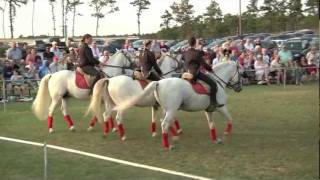 Herrmanns Royal Lipizzan Stallions [upl. by Rap]