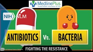 Antibiotics vs Bacteria Fighting the Resistance [upl. by Isleen617]